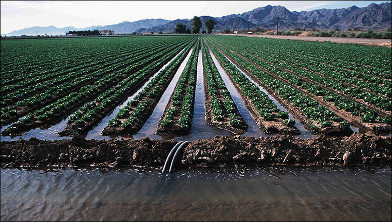 kit-irrigation-cameroun
