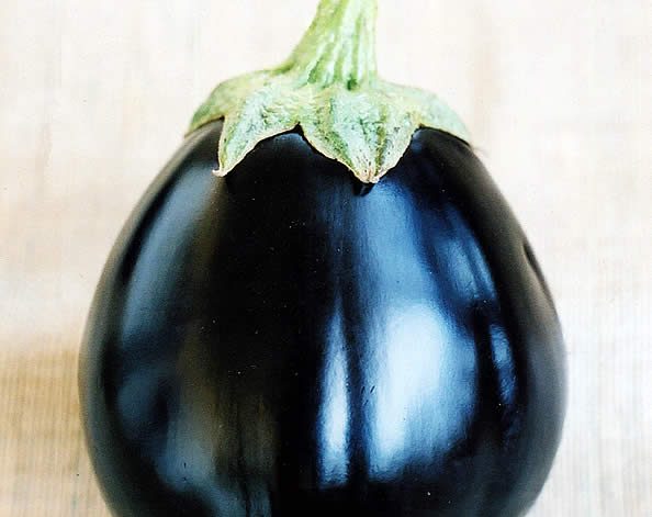 Aubergine Black beauty