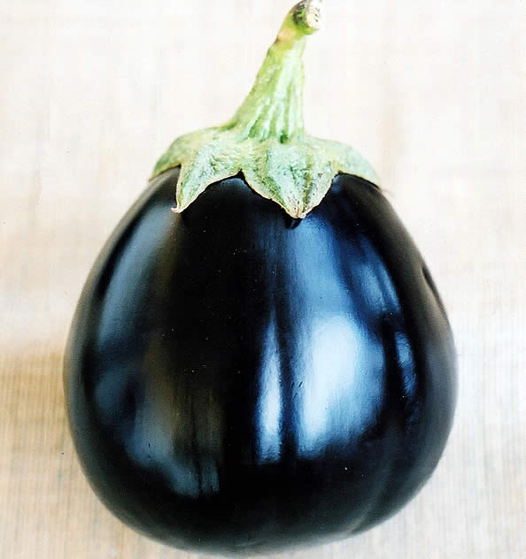 Aubergine Black beauty