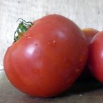 <br>Tomate SYMBAL