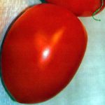 <br>Tomate rio grande